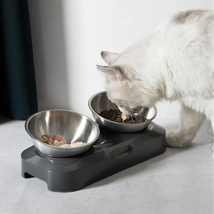 Elevated stainless steel pet bowl promoting healthy digestion in cats and small dogs
