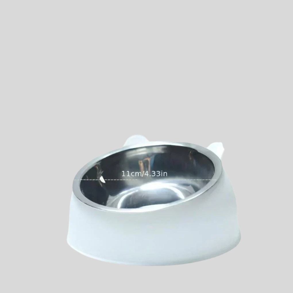 High-angle view of a ceramic raised cat bowl, ideal for senior cats and kittens