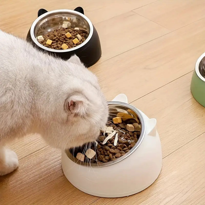 Cat eating comfortably from an ergonomic raised food bowl, showcasing improved posture