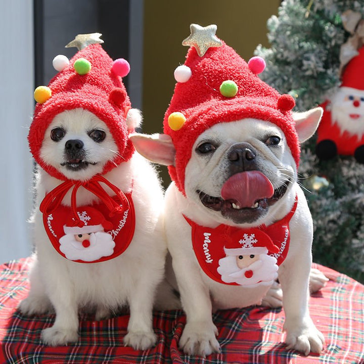 Festive dog Christmas hat and bib set, perfect for holiday pet grooming and photoshoots.