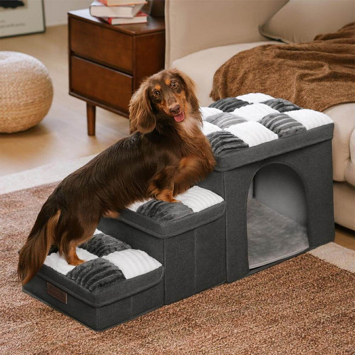 Foldable pet ramp system with storage, offering gentle incline and steps for small dogs.