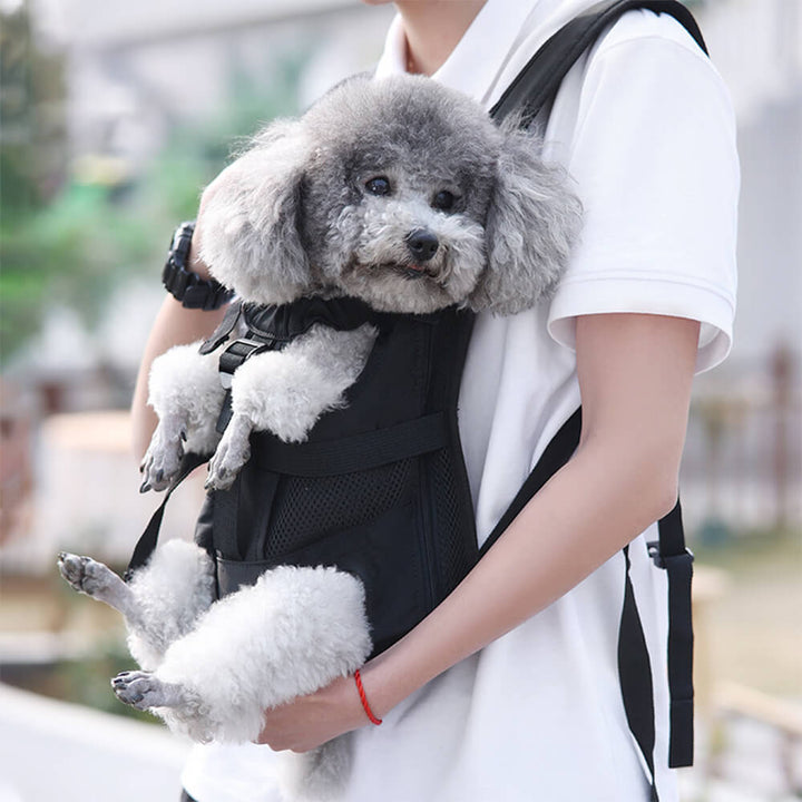 Front-hugging portable dog carrier backpack for small to medium pets, black, with breathable mesh sides.