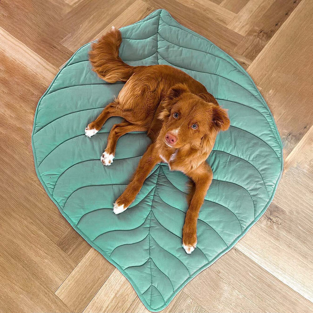 Large green leaf pet blanket, protects furniture, comfortable for pets.