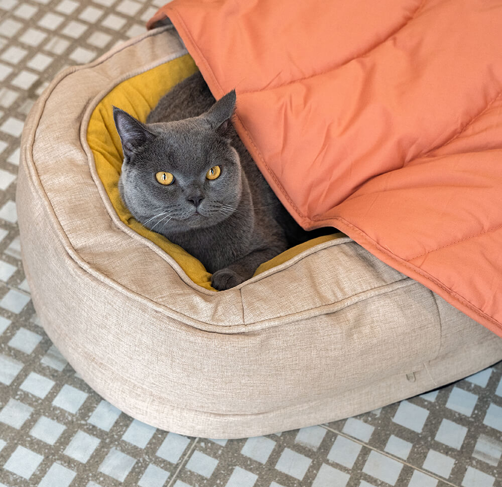 Unisex leaf pet blanket, functions as a dog mat, cat bed, and stylish pet accessory.