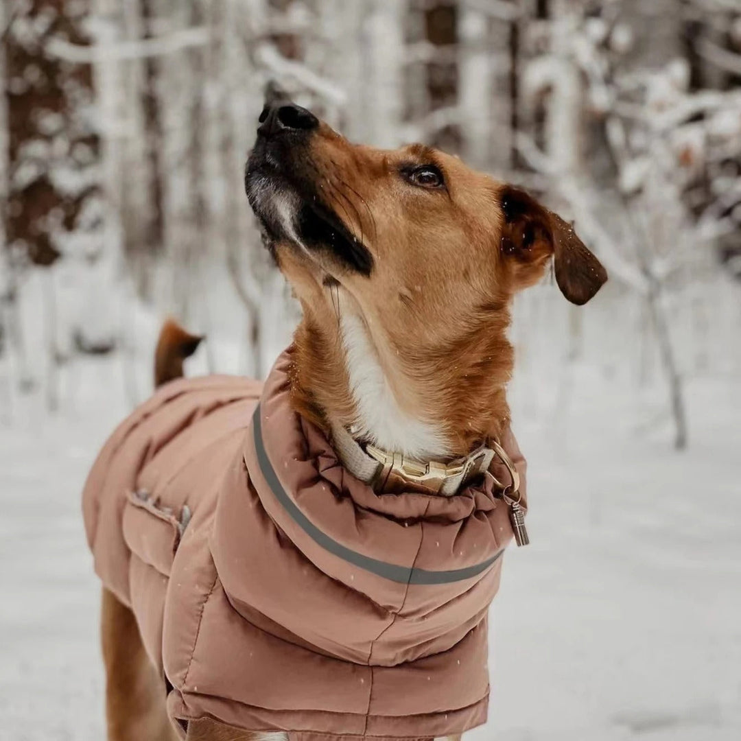 Close-up of adjustable straps on a dog winter vest, secure and comfortable pet apparel