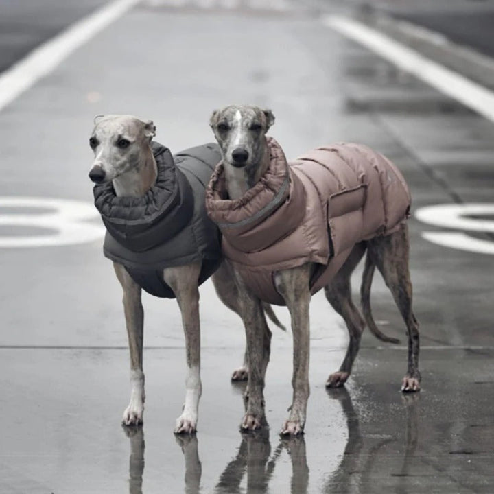 Pattern of a dog winter vest showing waterproof fabric, durable pet coat
