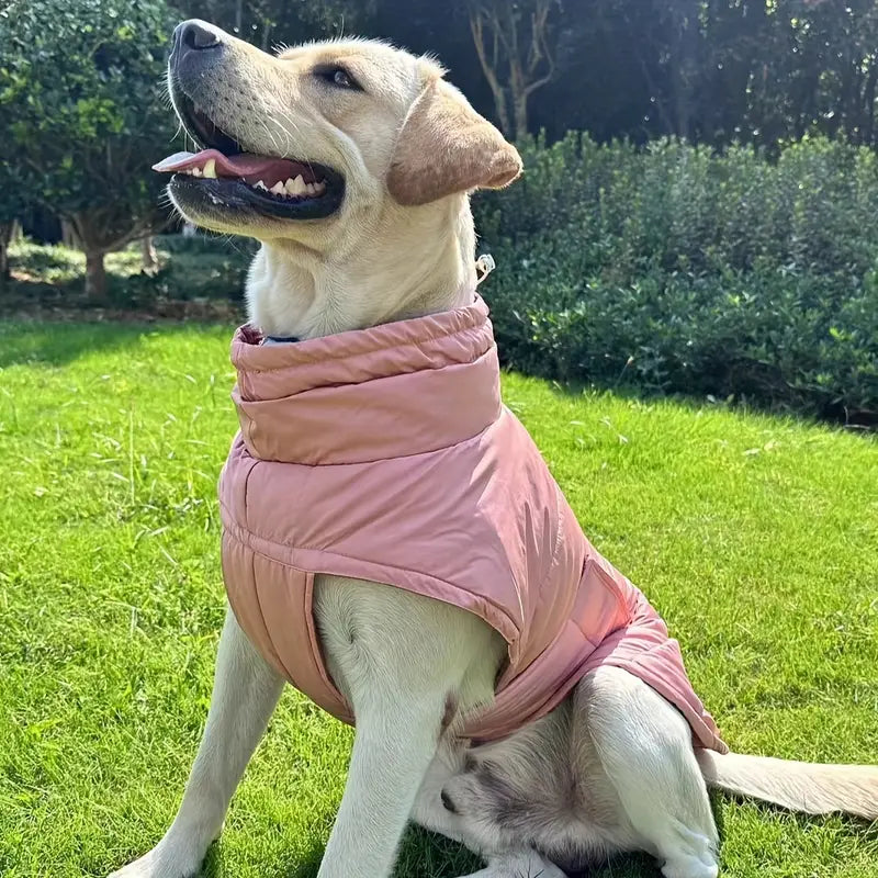 Side view of a dog in a pink adjustable winter vest, stylish pet apparel