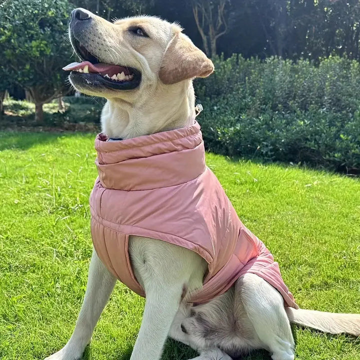 Side view of a dog in a pink adjustable winter vest, stylish pet apparel