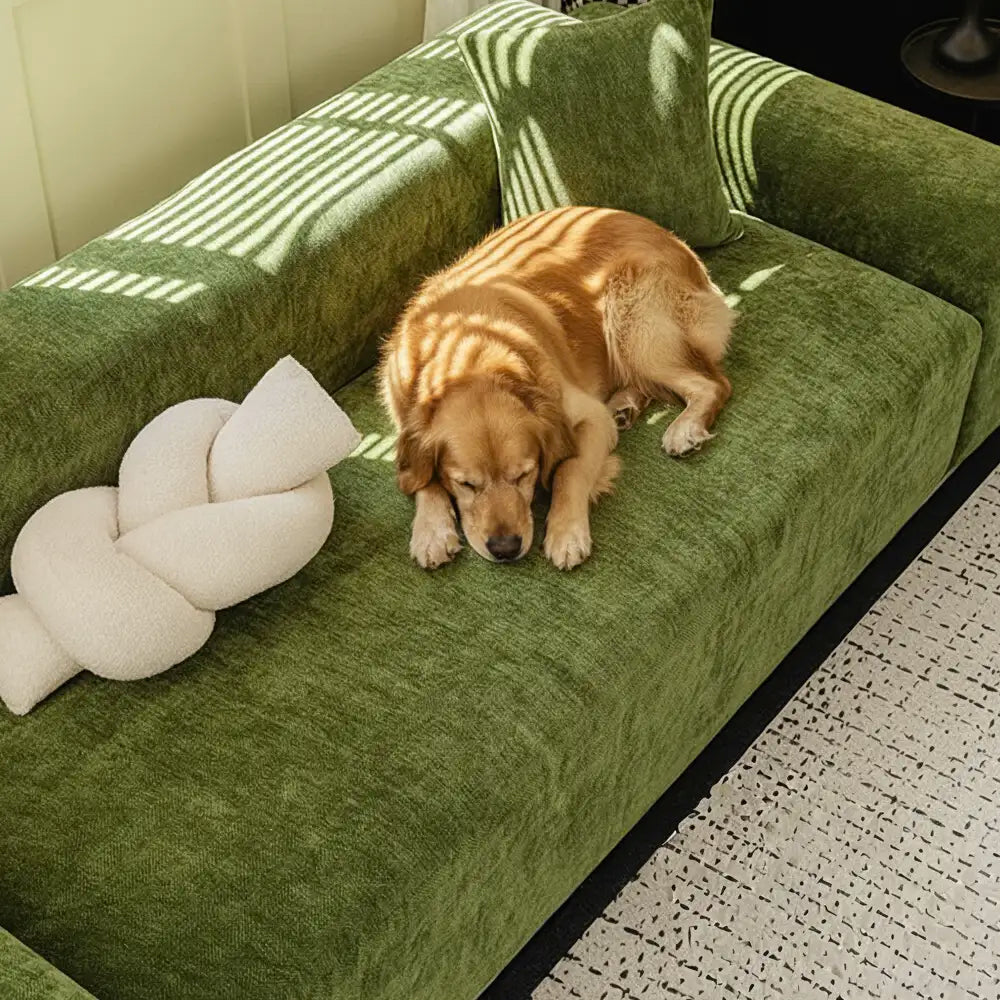 Sophisticated herringbone chenille couch cover, safeguarding furniture from pet wear