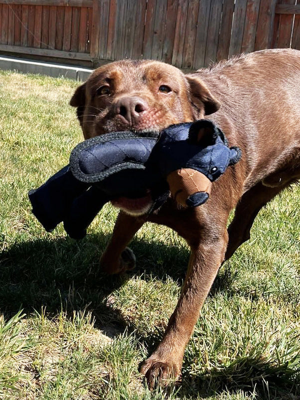 Indestructible dog chew toy for heavy chewers, durable pet supplies for dog enrichment