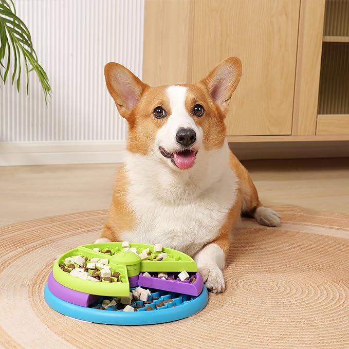 Interactive multi-level pet activity feeder bowl for slow feeding and mental enrichment, durable design