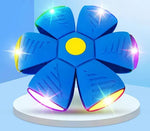 Six Light