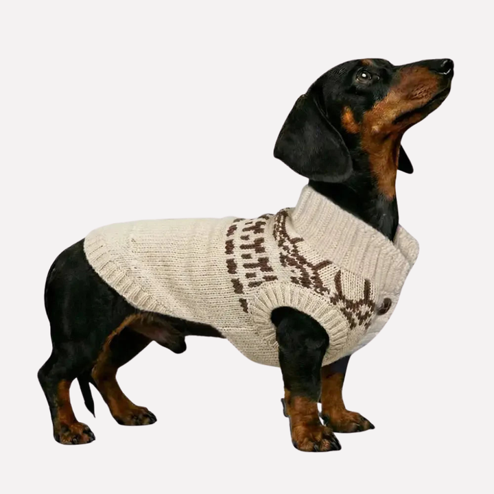 Khaki Fair Isle sleeveless dog jumper for long-bodied breeds like dachshunds, warm winter pet wear