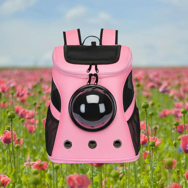 Black pet carrier with top and side entry, a comfortable travel bag for cats or small pets, durable design.