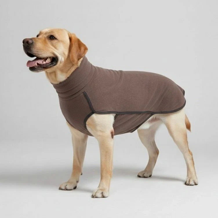 Large golden retriever wearing a red windproof water-resistant winter coat, standing in snow.