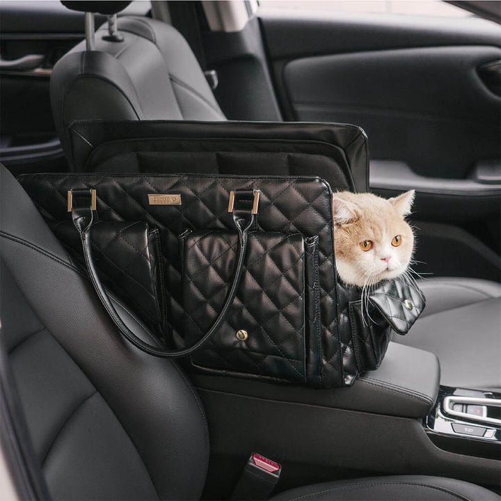 Pet accessory travel carrier, orange, with a top handle and side grips for easy lifting