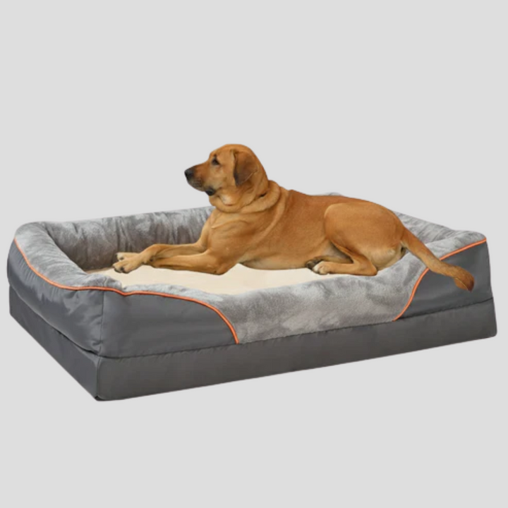 Supportive memory foam dog bed providing comfort for large dogs and senior pets