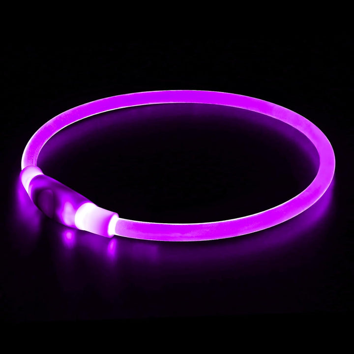 Rechargeable LED pet collar, offering superior visibility and safety for dogs in the dark.