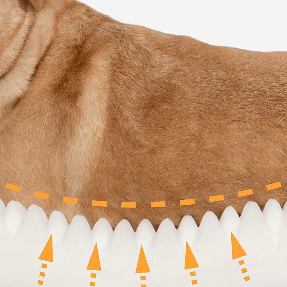 Cozy pet bed set featuring a soft leaf blanket and donut bed.