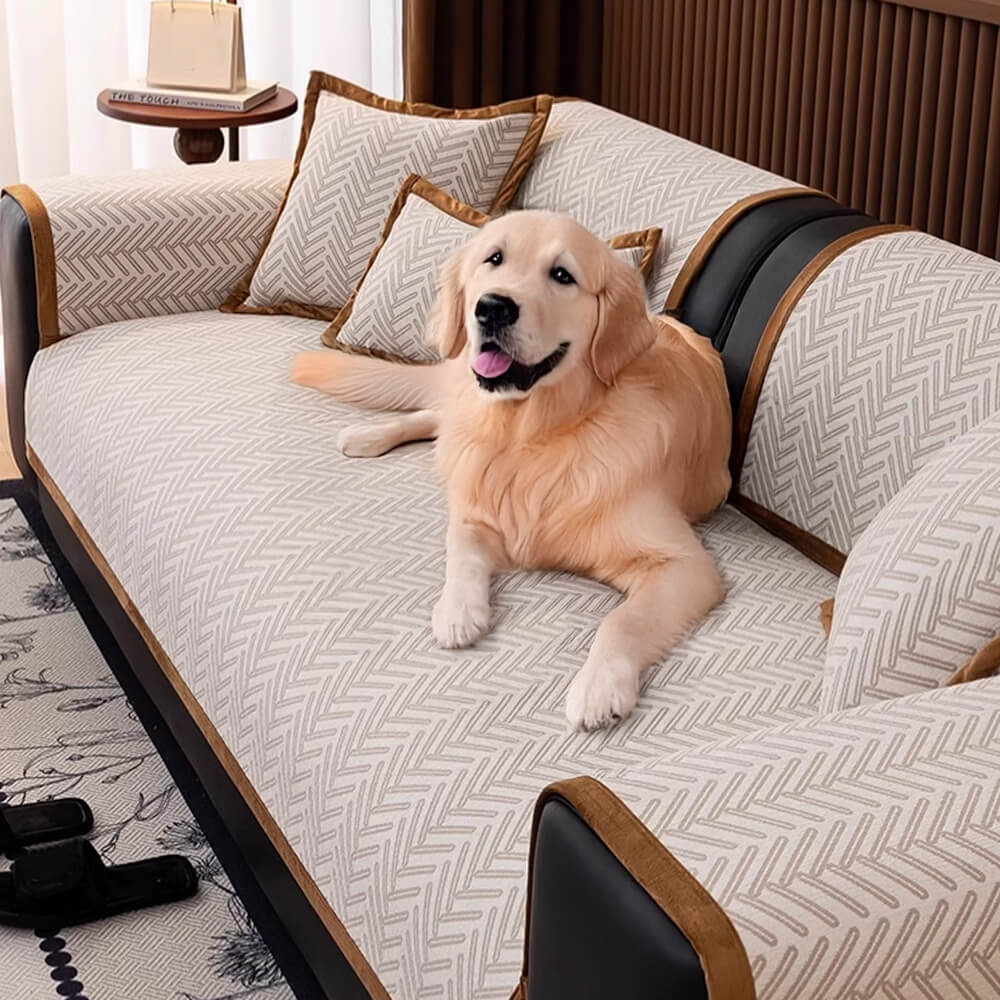 Modern herringbone chenille sofa protector slipcover in a living room, pet-friendly design for furniture protection.