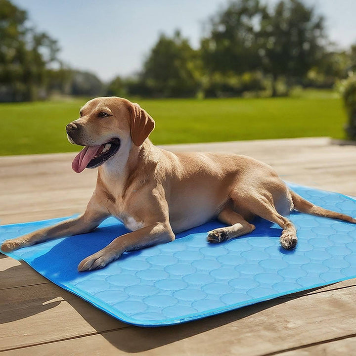 Machine washable cooling bed for dogs and cats, showcasing thermal regulation