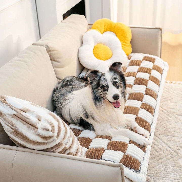 Comfortable chenille pet mat acting as a dog bed or cat bed on a sofa.