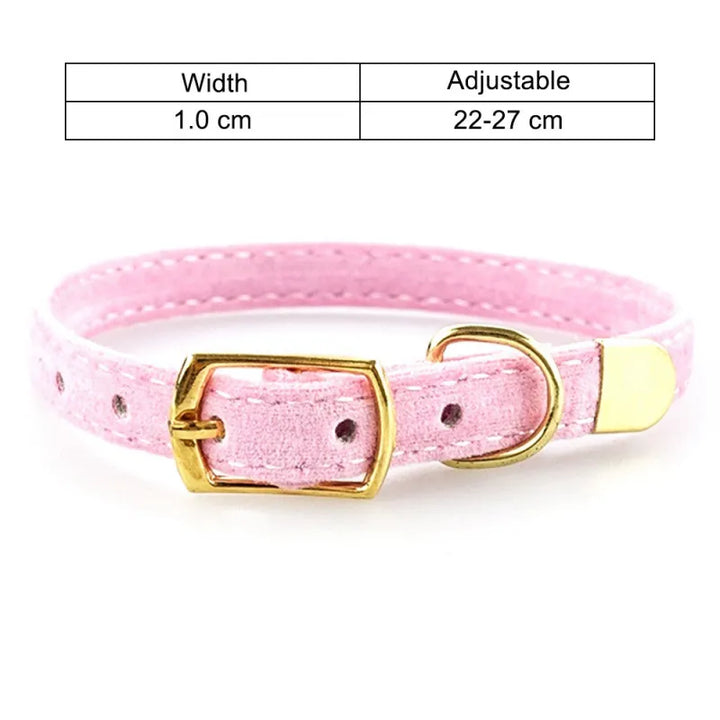 Luxurious red velour cat collar with a prominent golden buckle, a stylish pet accessory for cats.