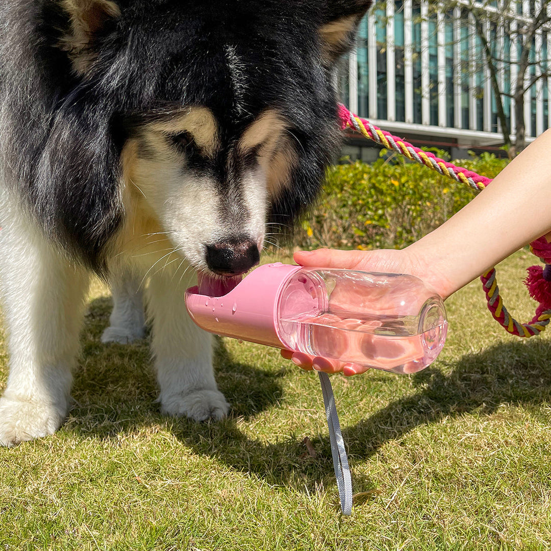 Portable dog water bottle with integrated bowl, blue, for outdoor hydration & travel.