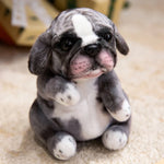 Pug Grey