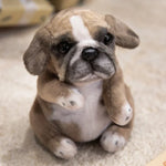 Pug Khaki