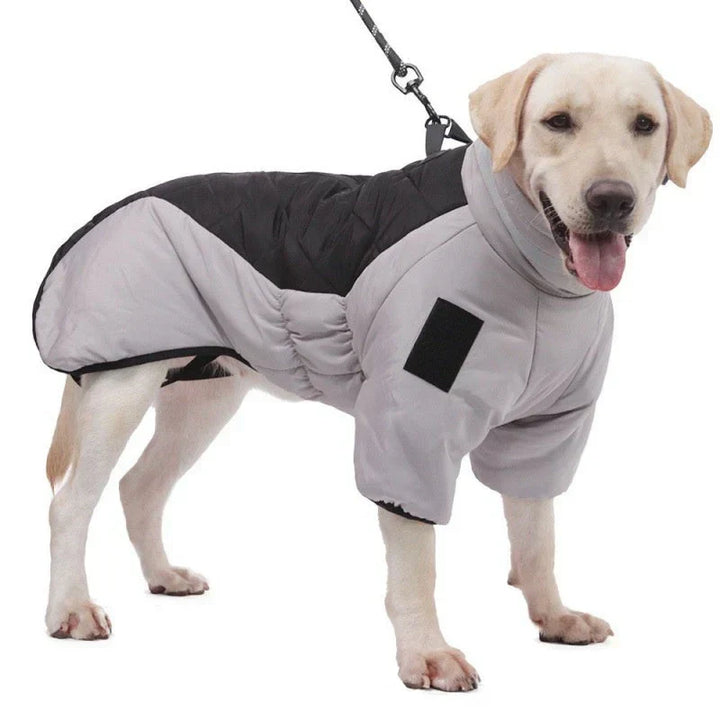 Green waterproof dog coat with soft fleece lining, ideal for cold weather, pet accessory.