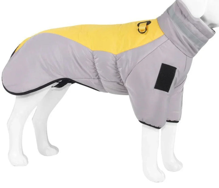 Close-up of waterproof dog coat fabric, showing quality material and secure buckle, pet gear.