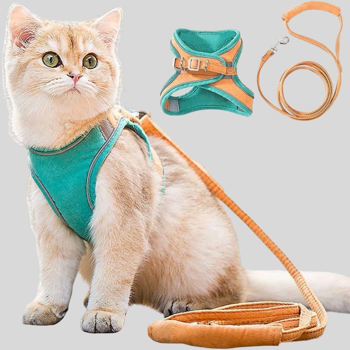 Reflective Pet Adventure Harness and Leash Set for small dogs and cats, ideal for safe outdoor walking.