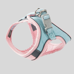 Sky Blue/Pink