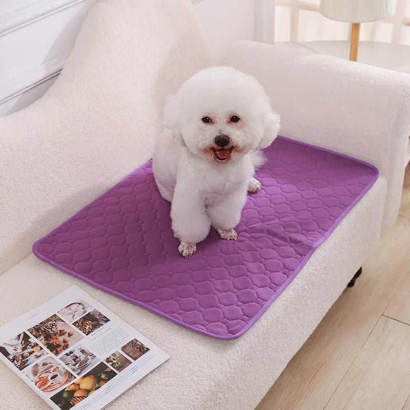 Reliable reusable dog training pad, leak-proof and machine washable for easy care
