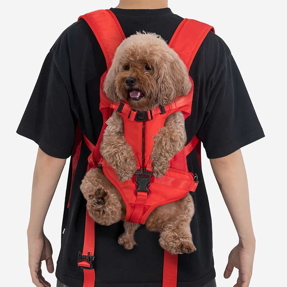Close-up of a small dog in a breathable pet backpack, showing ventilation and pet-friendly design
