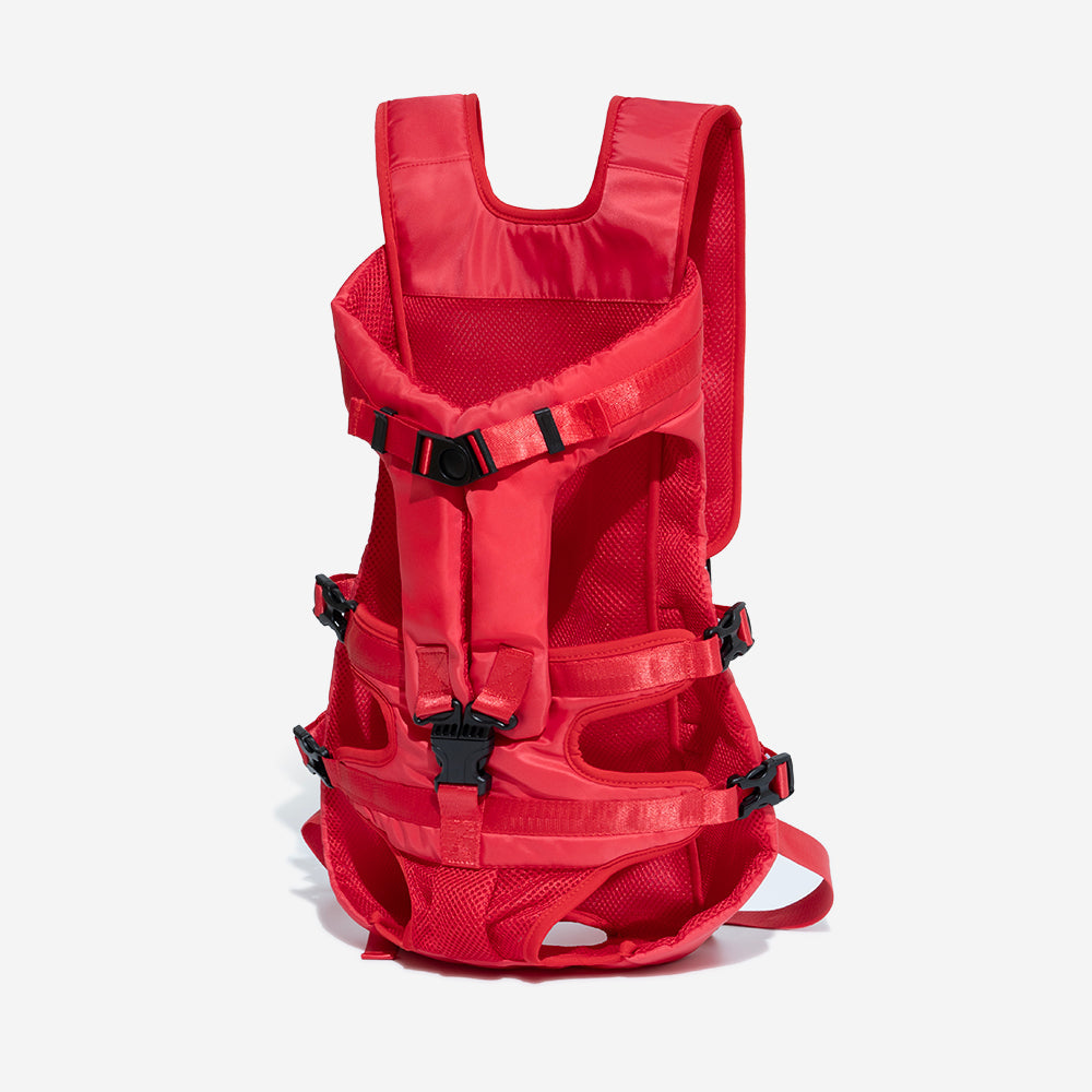 Small dog in a green breathable carrier backpack, ready for adventure, waterproof material