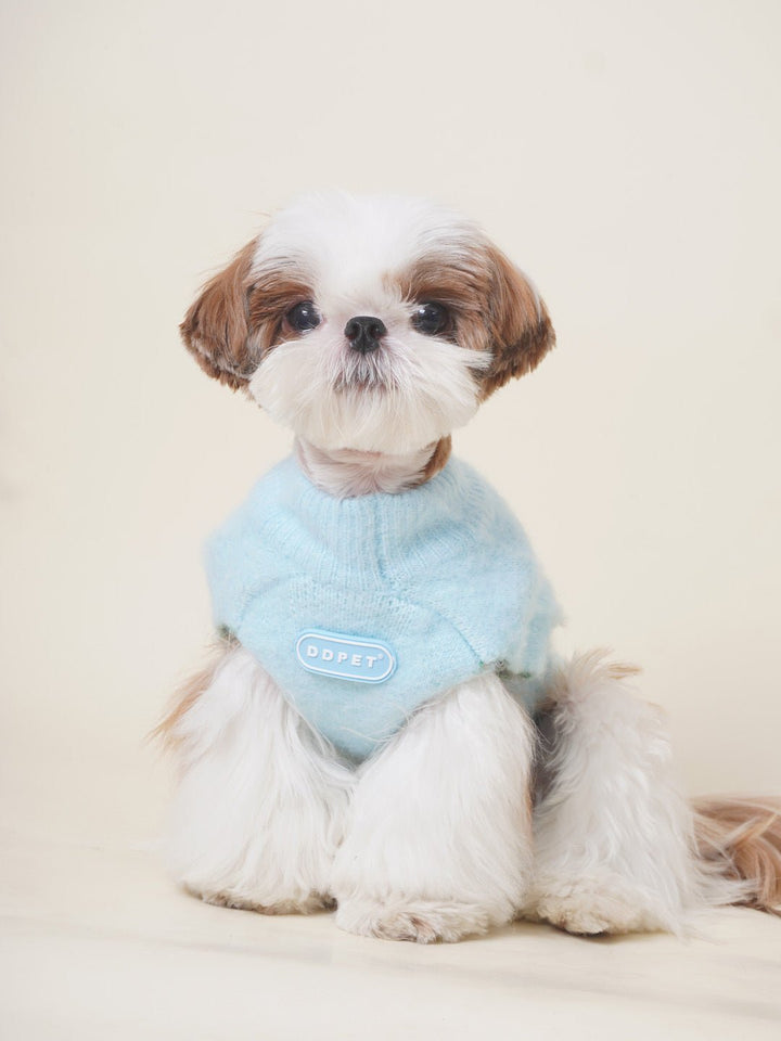 Chihuahua wearing a green high-neck knit dog sweater, stylish pet fashion, cozy apparel
