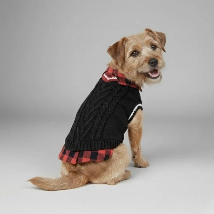 Small dog in red cable knit sweater vest with plaid collar, cozy winter dog clothes.