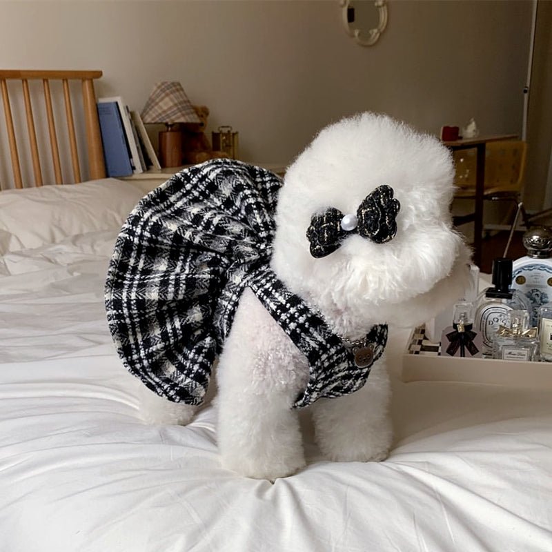 Small dog wearing a black and white houndstooth princess dress with a bow, autumn pet apparel, chic pet fashion