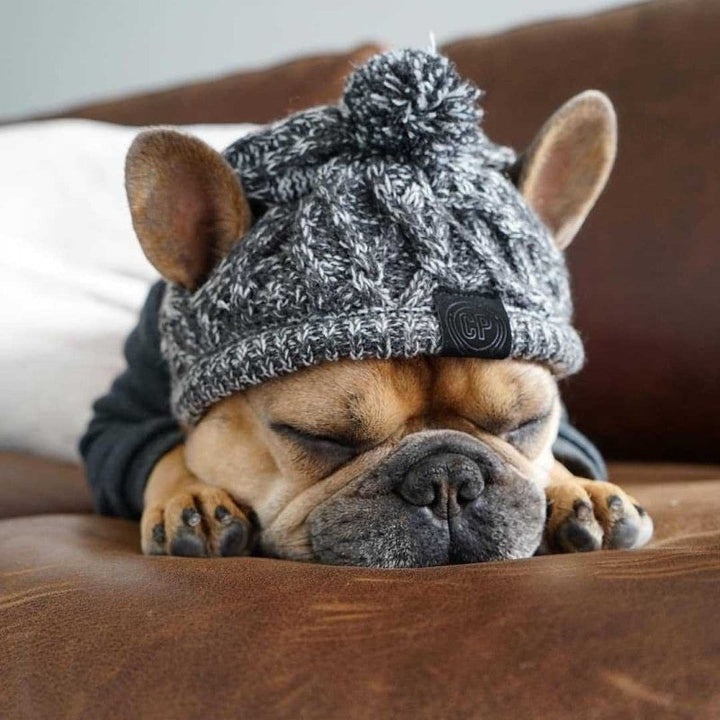Brown knit winter hat for dogs featuring a cute pom-pom, essential pet apparel.