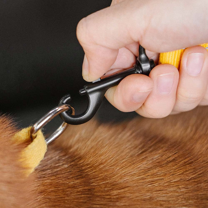 Reflective pet car restraint, universal fit for various dog sizes, travel accessory