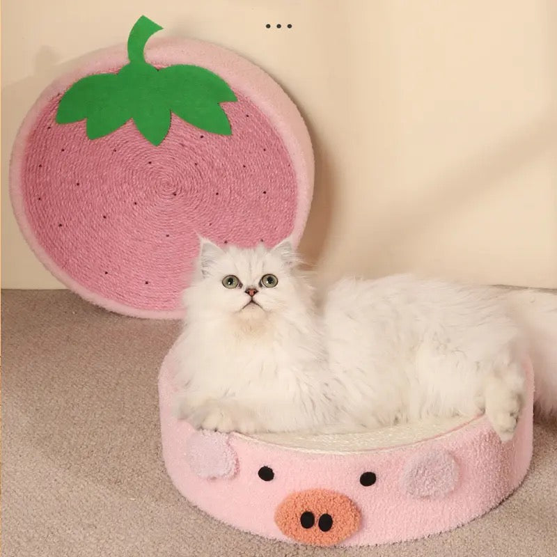 Stylish cat scratcher bed with natural sisal, perfect for feline lounging and scratching needs