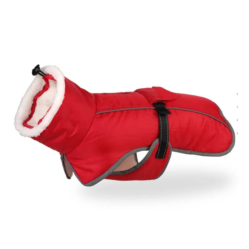 Close-up of insulated dog coat material, reflective stitching, highlighting quality and pet safety features