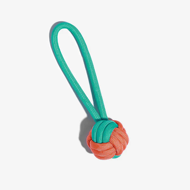Colorful rope tug toy for dogs, promoting dental health through interactive play
