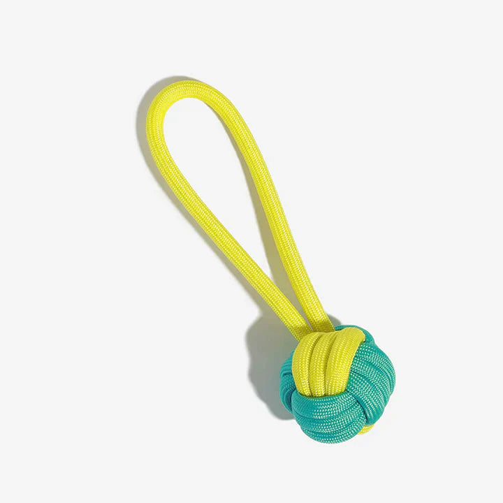 Interactive dog rope toy in clash colors, designed for fun and dental care