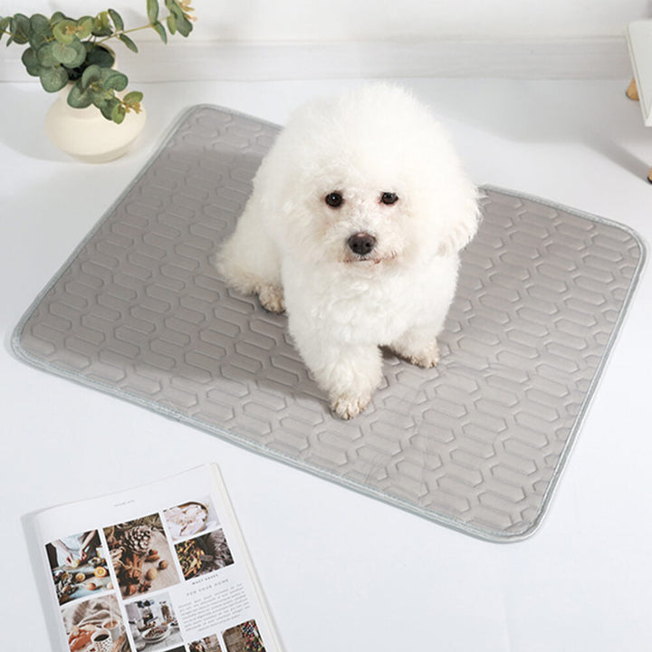 Unisex cooling pet mat, icy silk for dogs, cats, small animals, summer pet bed