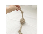 Ball Whip