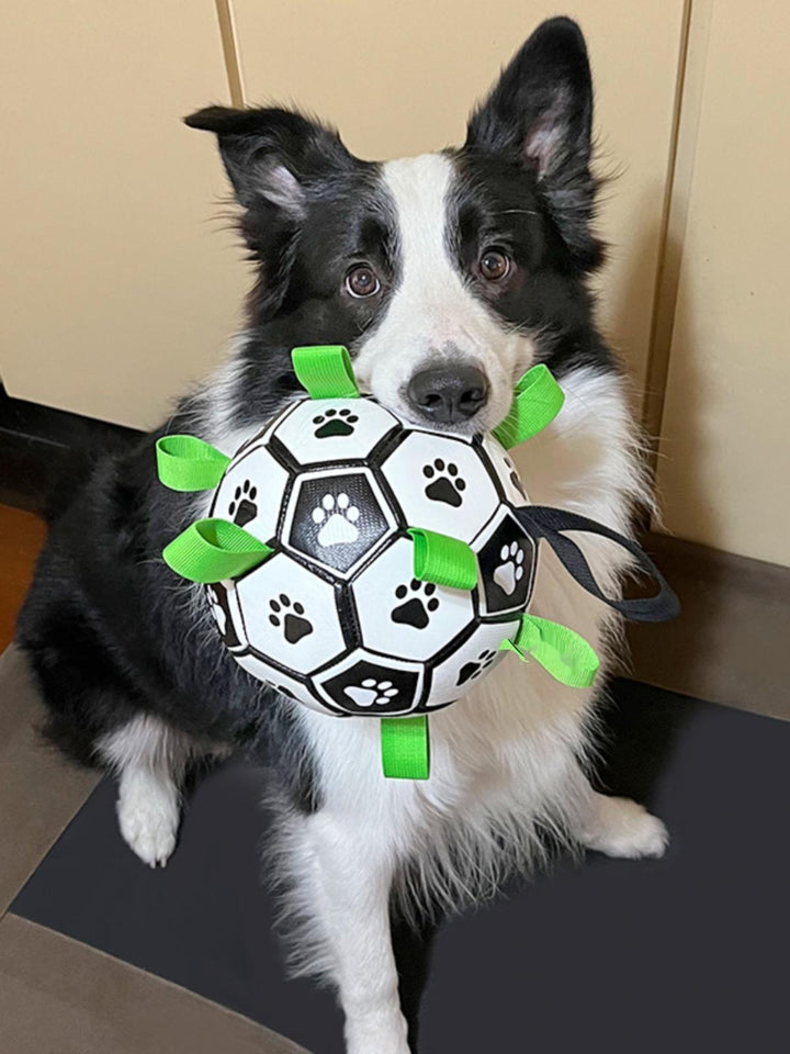 Interactive dog soccer ball for water and land play, featuring durable construction and easy-grip straps