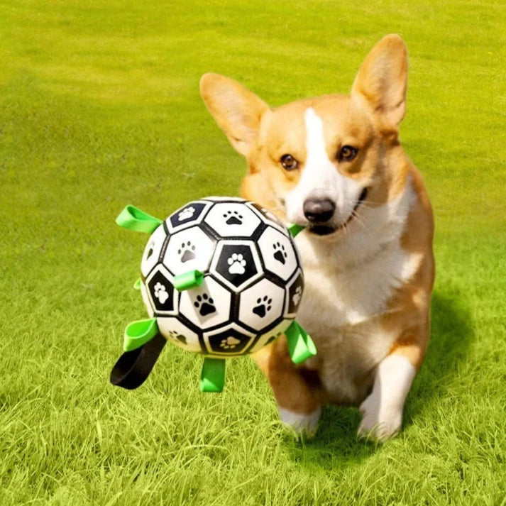 Fetch toy: Floating dog soccer ball, extra durable with straps, perfect for pet outdoor games